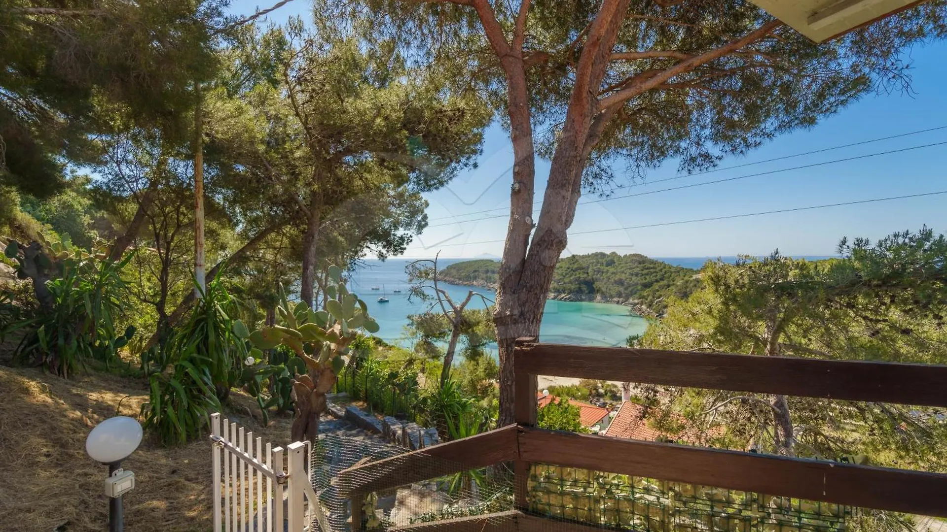 Casa Dell'Asino - Goelba Lägenhet Fetovaia