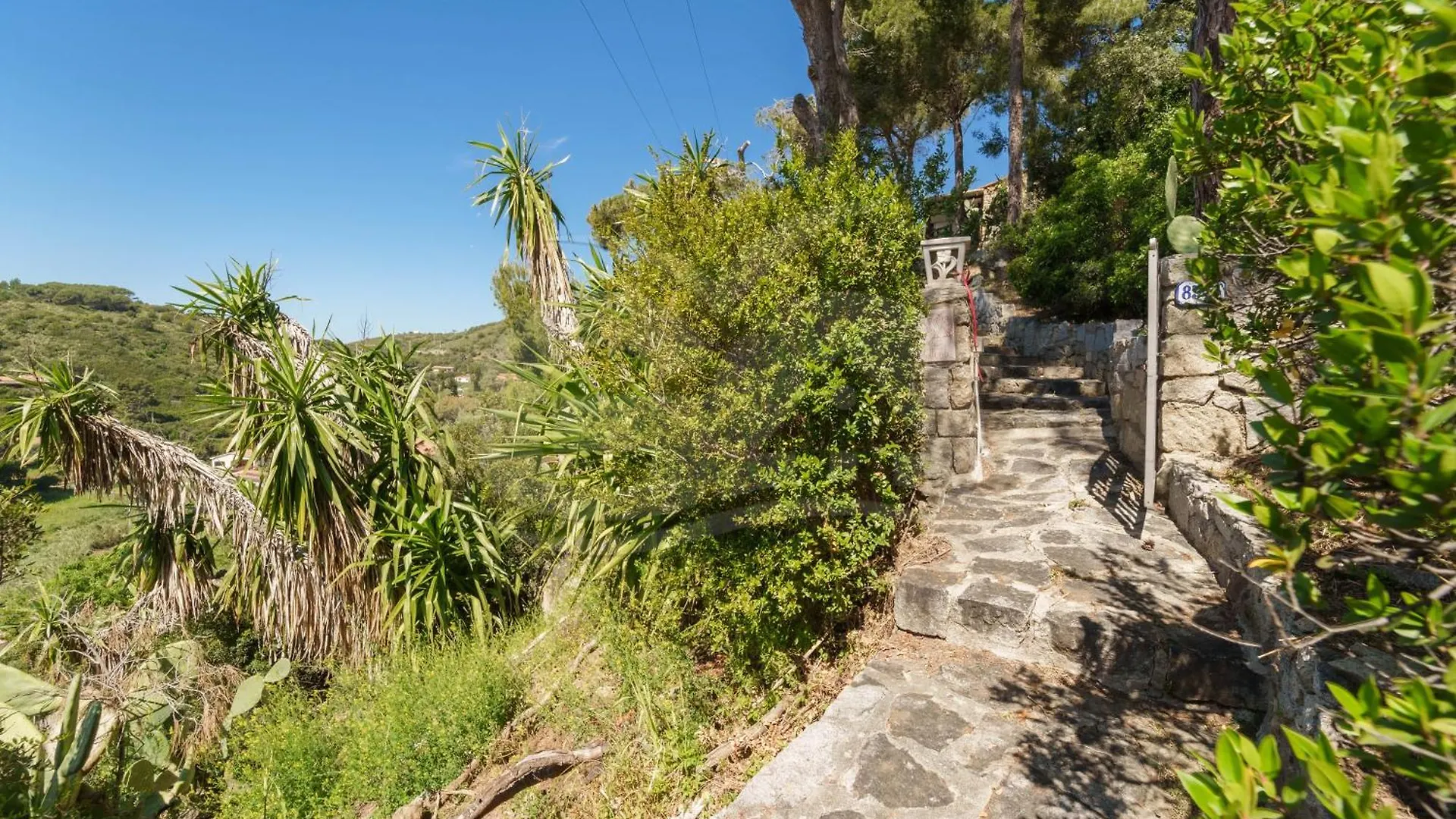 Casa Dell'Asino - Goelba Lägenhet Fetovaia