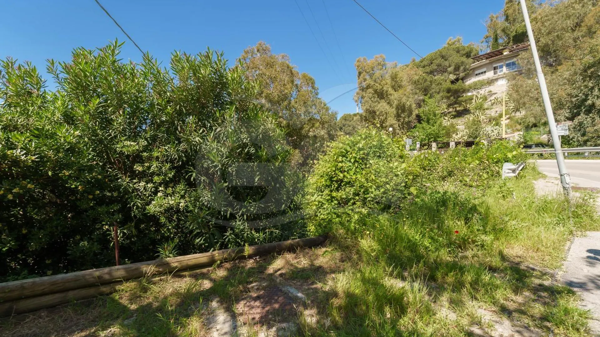 Casa Dell'Asino - Goelba Lägenhet Fetovaia
