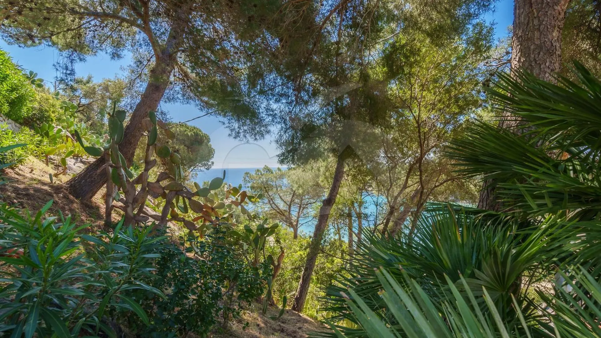 Casa Dell'Asino - Goelba Lägenhet Fetovaia 0*,  Italien